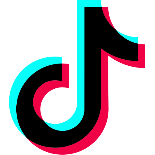 tiktok social media
